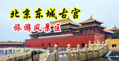 鸡巴操女人逼视频中国北京-东城古宫旅游风景区